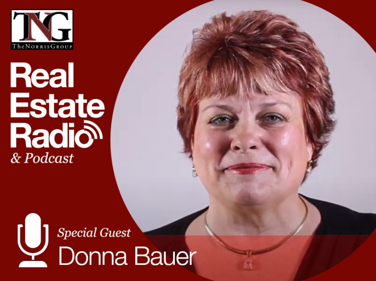 Donna Bauer Blog